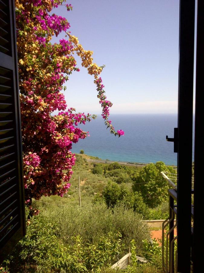 Risorgimento Apartment Cipressa 外观 照片